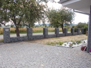 DSCN0247