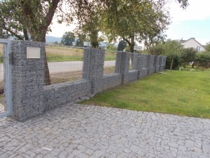 DSCN0281