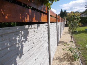 DSCN0287